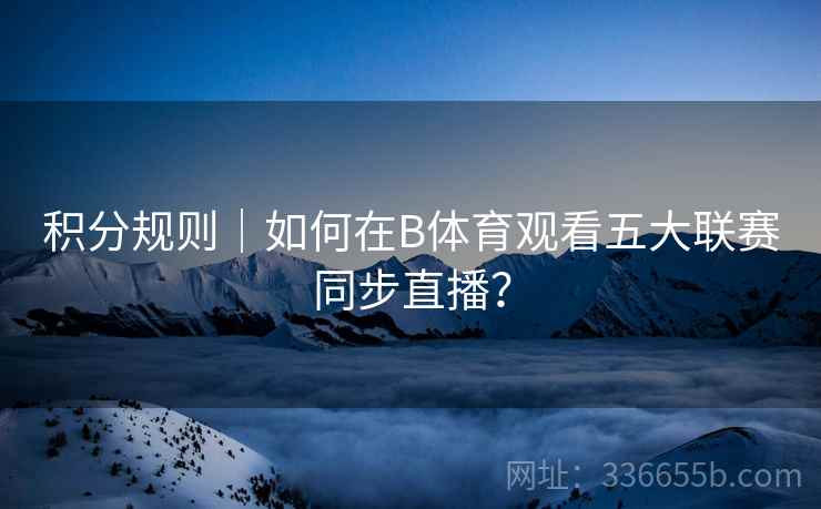 积分规则｜如何在B体育观看五大联赛同步直播？