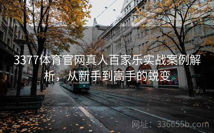 3377体育官网真人百家乐实战案例解析,从新手到高手的蜕变 3377体育官网真人百家乐实战案例解析,从新手到高手的蜕变